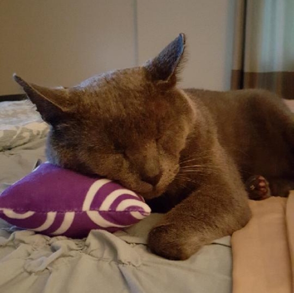 Meet your Posher, Andrea - Picture 3 of 3